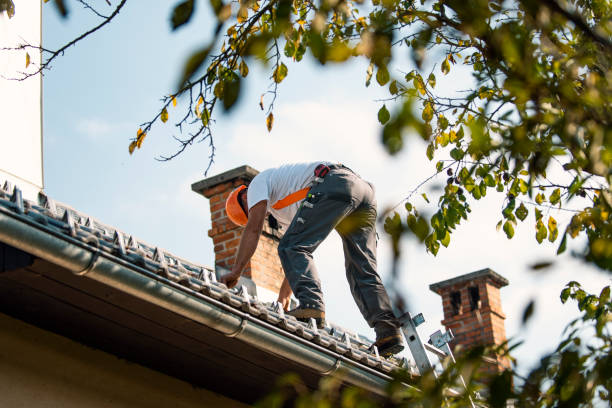 Best Residential Roofing Contractor  in Wonder Lake, IL