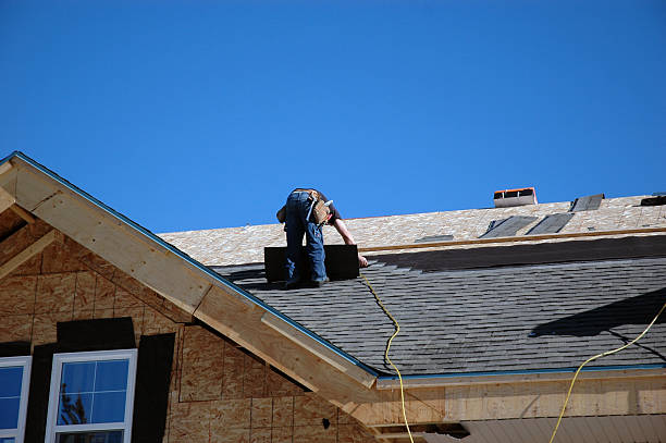 Best Gutter Installation and Roofing  in Wonder Lake, IL