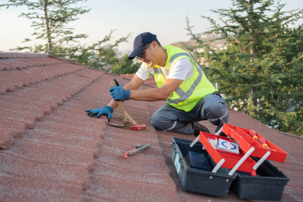 Best Local Roofing Companies  in Wonder Lake, IL