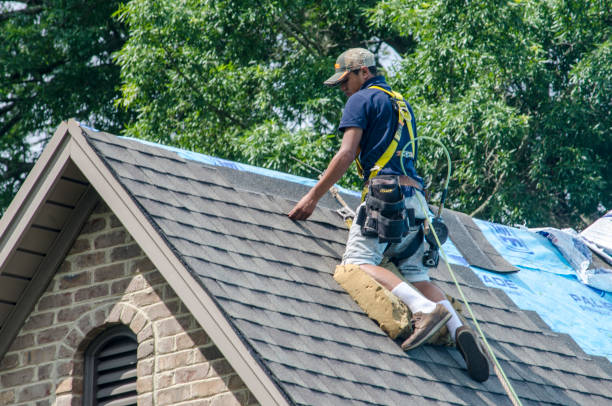 Best Local Roofing Companies  in Wonder Lake, IL